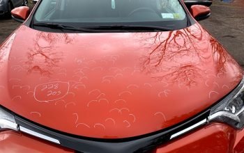 hail-damage-in tampa